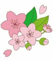 **sakura**断捨離中です**の画像