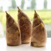Bambooの画像