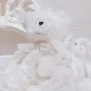 みぃの画像