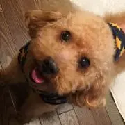 なあこんの画像