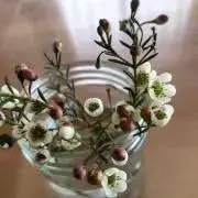 はな