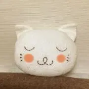 月猫の画像