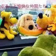 ぷるこの画像