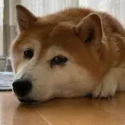 ゆっこ(プロフィール欄ご確認ください)