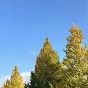 そ