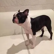 みかんばこ