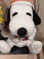 mie  39の画像