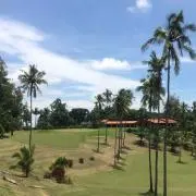 きぃ（次回7/6発送）の画像