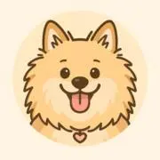 こんの画像