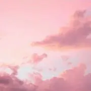 miiの画像