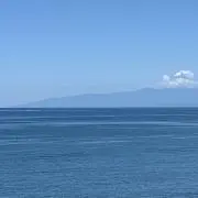 chimoの画像
