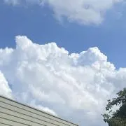 にゃんちゅーの画像