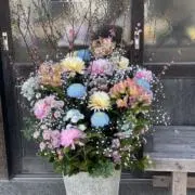 ruruの画像