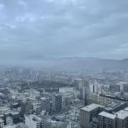 すんすんの画像