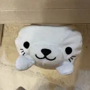 んぽの画像