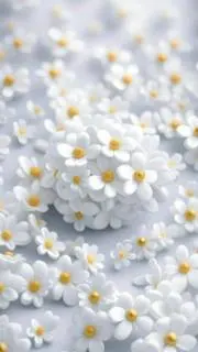 琥珀の画像