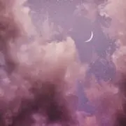 うさの画像