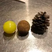 ふら