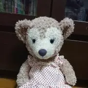 ガーベラの画像