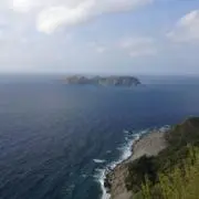 mokimokiの画像