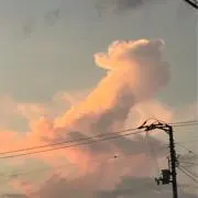 あやの画像