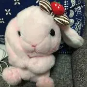 chan♡の画像