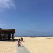 まいまいの画像