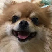 またろう