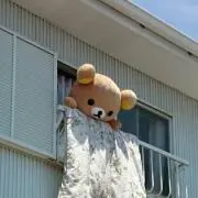 リナックマの画像