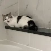 Yanuの画像