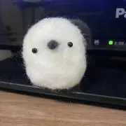 ぐるとんの画像