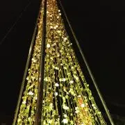 joieの画像