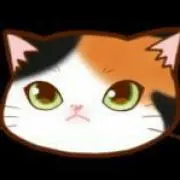 ヌコの画像