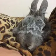 ごくたまに出品してます