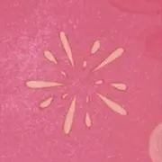 きづきの画像