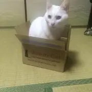 ぺったん