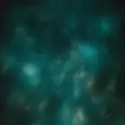人参の画像