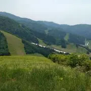 セヒ