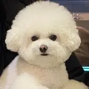 ♡の画像