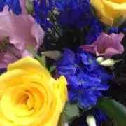 すないだーの画像