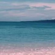 なおの画像