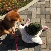 にゃお