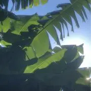 けんたの画像