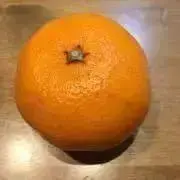 テレビの画像