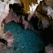ベリコの画像