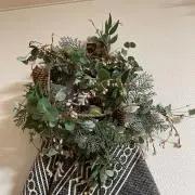 タンジェリンの画像
