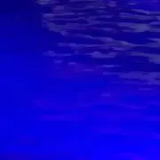 （╹◡╹）の画像