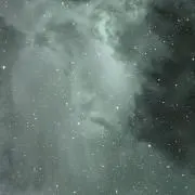 おすしの画像