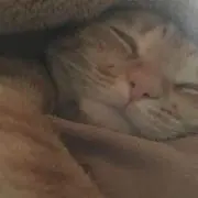 えあこん