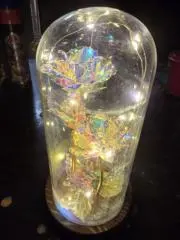 一子